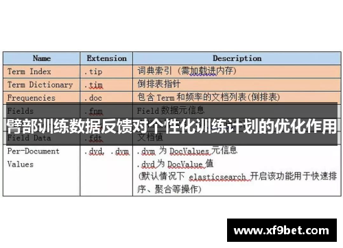 臂部训练数据反馈对个性化训练计划的优化作用